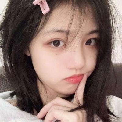 莫西干回到故乡