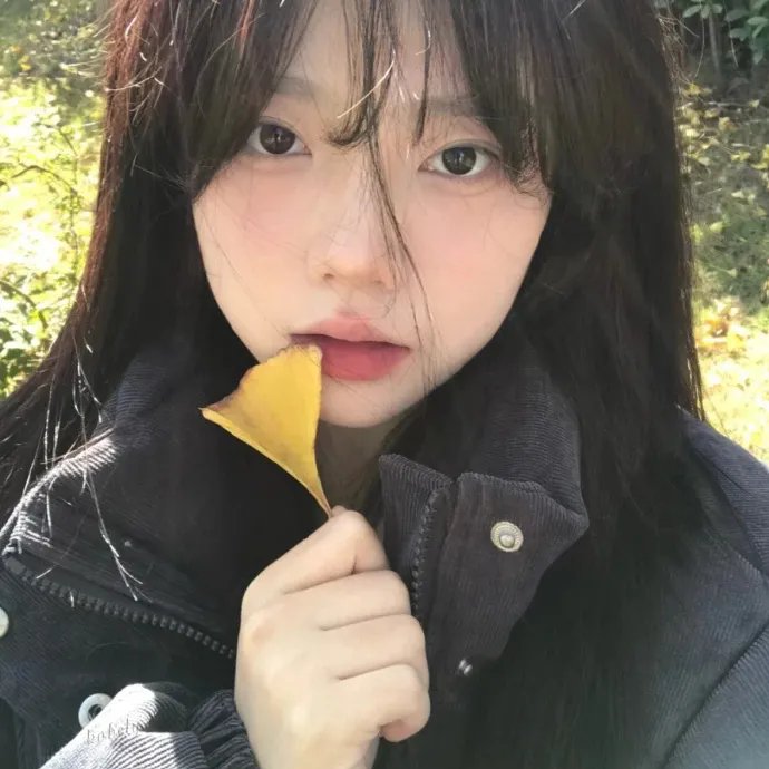 我的“狐朋狗友